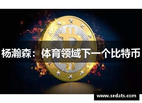 杨瀚森：体育领域下一个比特币